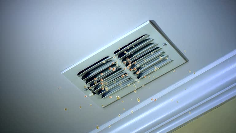 Air Duct Mold Removal in MO