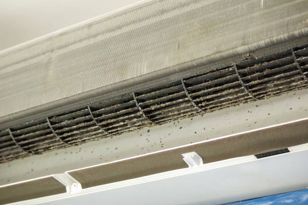 Best HVAC System Cleaning  in Brookfield, MO
